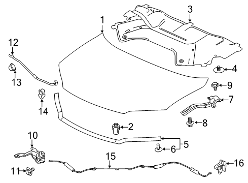 2022 Honda Ridgeline Hood & Components LOCK ASSY-, HOOD Diagram for 74120-T6Z-A01