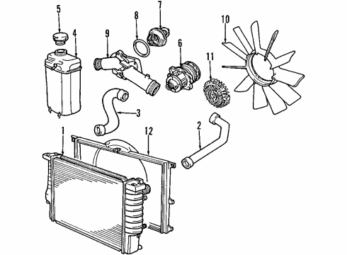 1998 BMW 528i Cooling System, Radiator, Water Pump, Cooling Fan Radiator Coolant Water Hose Diagram for 11531740832