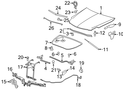 2007 Cadillac DTS Hood & Components, Exterior Trim Weatherstrip Asm-Hood Rear Diagram for 20767288
