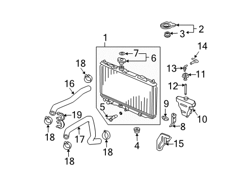 2007 Acura TL Radiator & Components Hose, Water (Lower) Diagram for 19502-RDA-A50