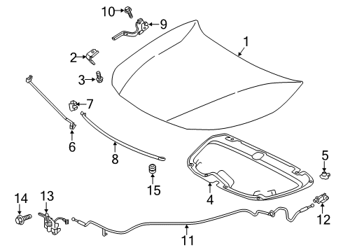 2020 Toyota Corolla Hood & Components Hinge Diagram for 53420-02510