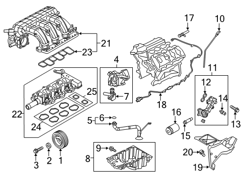 2020 Ford F-150 Engine Parts, Mounts, Cylinder Head & Valves, Camshaft & Timing, Variable Valve Timing, Oil Cooler, Oil Pan, Oil Pump, Crankshaft & Bearings, Pistons, Rings & Bearings Insert Panel Screw Diagram for -W717268-S439