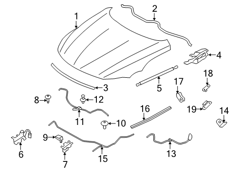 2009 BMW Z4 Hood & Components Moulded Part Left Diagram for 51767211201