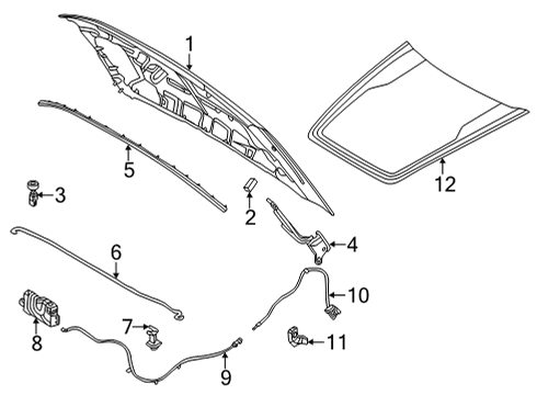 2022 Ford Maverick Hood & Components, Exterior Trim Release Handle Diagram for JX7Z-16916-BB