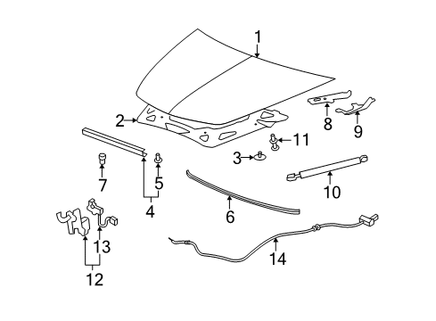 2009 Chevrolet Malibu Hood & Components Hinge Diagram for 15825390