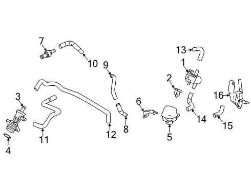 2020 Honda Civic Emission Components Tube H, Purge Diagram for 36174-5MS-H00