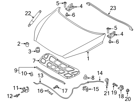 2018 Kia Sorento Hood & Components Strip Assembly Front-Hood Diagram for 86455C5000