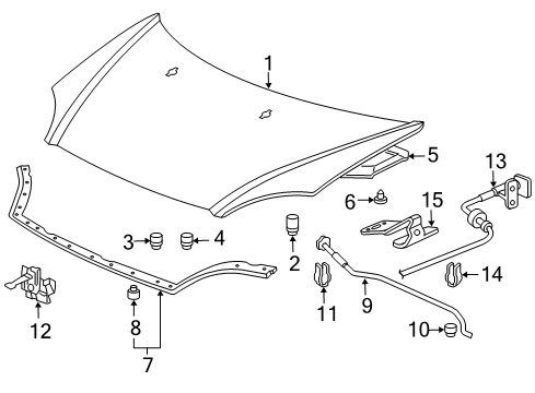 2005 Honda Civic Hood & Components Hinge, Passenger Side Hood Diagram for 60120-S6A-000ZZ