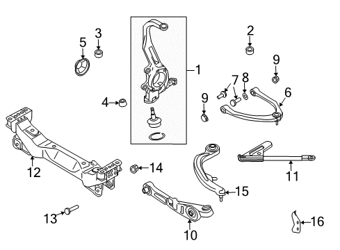 2005 Infiniti G35 Front Suspension, Lower Control Arm, Upper Control Arm, Stabilizer Bar, Suspension Components Seat-Lower Ball Joint Diagram for 40173-AC500