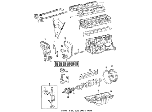 1988 Toyota Supra Engine Parts, Mounts, Cylinder Head & Valves, Camshaft & Timing, Oil Pan, Oil Pump, Crankshaft & Bearings, Pistons, Rings & Bearings Cooler Assembly, Oil Diagram for 15710-42020