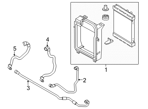 2016 BMW X5 Radiator & Components Hose, Auxiliary Radiator-Thermostat Diagram for 17128601169