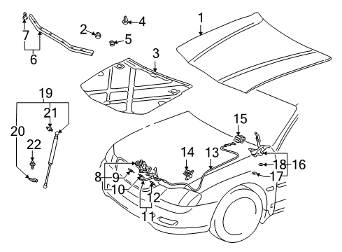 2000 Toyota Avalon Hood & Components Support Cylinder Diagram for 53440-A9020