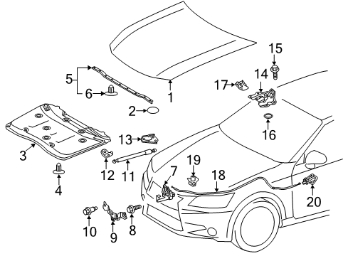 2016 Lexus GS350 Hood & Components Hinge Assembly, Hood, LH Diagram for 53420-30460