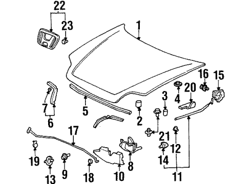 1997 Honda Prelude Hood & Components, Exterior Trim Stay, Hood Opener Diagram for 74145-S30-000