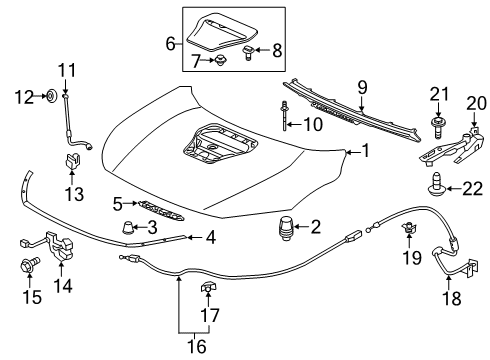 2020 Honda Civic Hood & Components Protector, Hood Diagram for 74144-TGH-A01