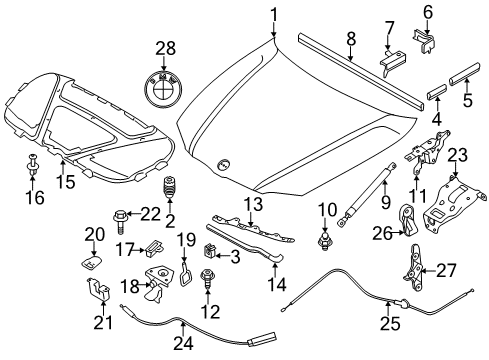 2010 BMW 135i Hood & Components Sealing, Upper Part Of The Hood, Left Diagram for 51767140585