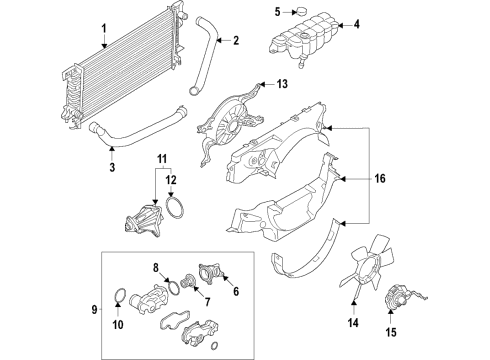 2021 Ford F-150 Cooling System, Radiator, Water Pump, Cooling Fan Lower Shroud Diagram for JL3Z-8146-E