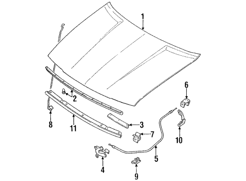 1989 Toyota Corolla Hood & Components Hinge Diagram for 53420-12171