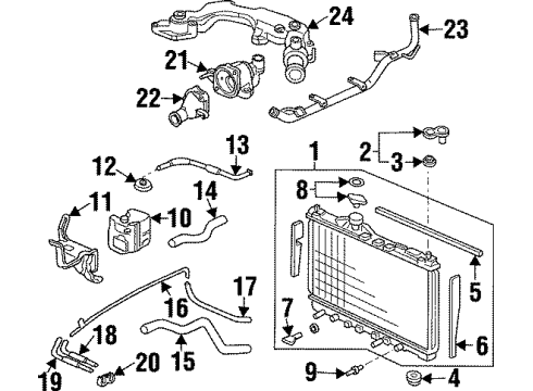 1998 Acura TL Radiator & Components Hose (435MM) Diagram for 25216-PY3-901