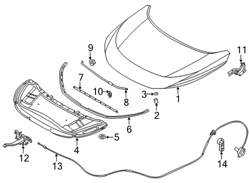 2021 Nissan Rogue Hood & Components Rod-Hood Support Diagram for 65771-6RA0B