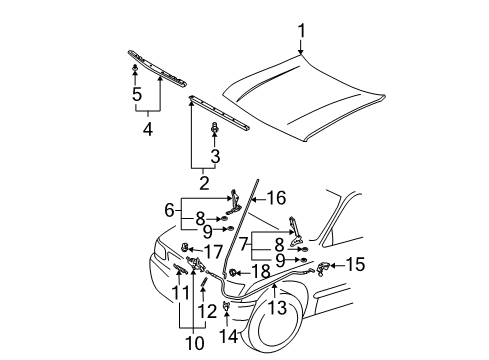 2003 Toyota Tacoma Hood & Components Outer Seal Diagram for 53183-04010