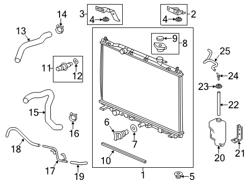 2015 Acura RDX Radiator & Components Hose, Water (Lower) Diagram for 19502-R8A-A00