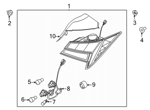 2021 Hyundai Elantra Bulbs Holder & Wiring-Rear COMBI, O/S Diagram for 92491-AA020