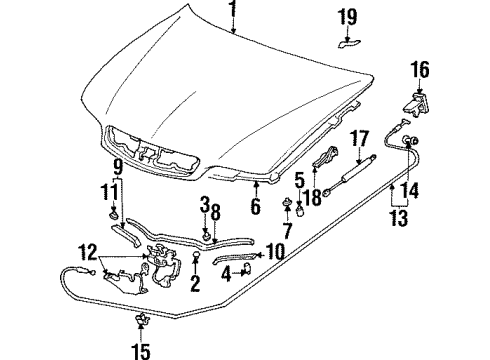 1999 Acura CL Hood & Components Stay, Hood Opener Diagram for 74145-SV7-A02