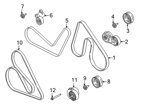 2021 Ford F-150 Belts & Pulleys Water Pump Belt Diagram for BL3Z-8620-G