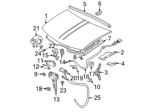 1997 GMC K2500 Hood & Components Bulb-Underhood Reel Lamp Diagram for 15579979