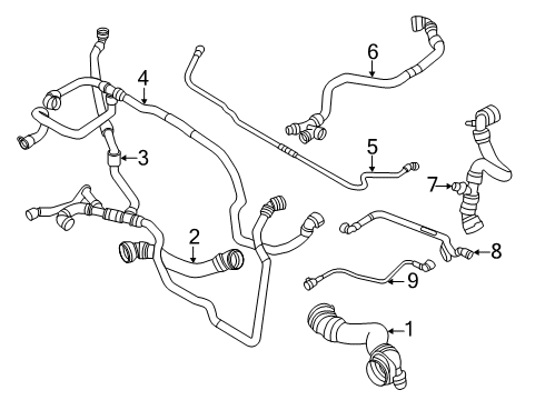 2021 BMW X4 Radiator Hoses COOLANT HOSE, BLEED FITTING Diagram for 11538054884