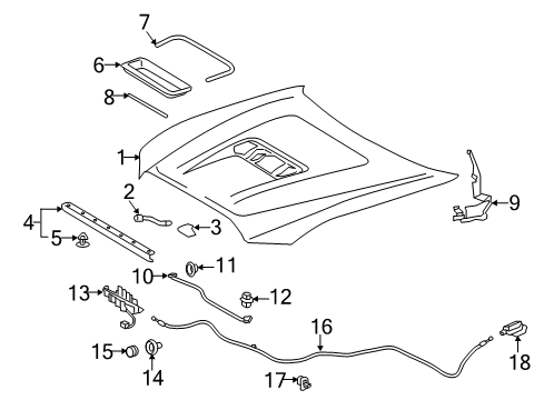 2021 Toyota Tacoma Hood & Components Release Cable Diagram for 53630-04051