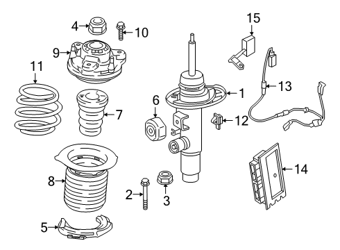 2019 BMW 330i xDrive Struts & Components - Front FRONT COIL SPRING Diagram for 31336890980