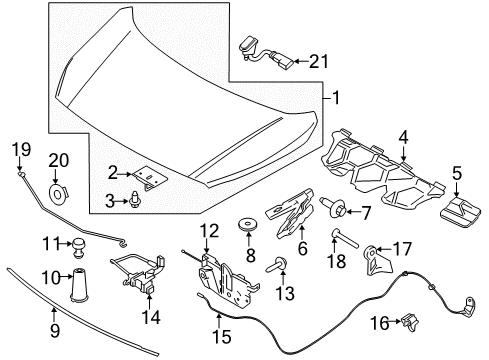 2017 Ford Transit Connect Hood & Components Safety Catch Diagram for DT1Z-16A770-B