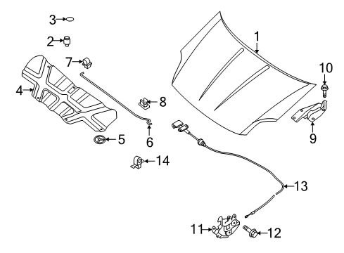 2008 Nissan Sentra Hood & Components Hinge Assembly - Hood, RH Diagram for 65400-ET030