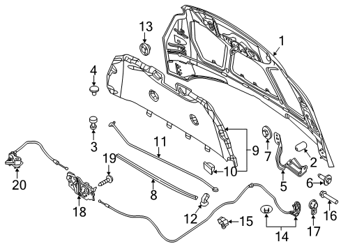 2016 Ford Focus Hood & Components Insulator Diagram for BM5Z-16738-C