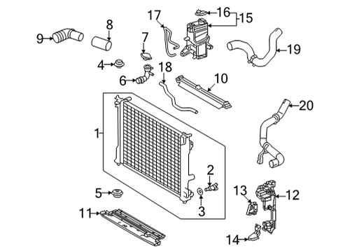 2022 Lexus NX450h+ Radiator & Components By-Pass Hose Diagram for 16281-25040