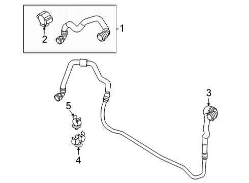 2022 BMW X6 Radiator & Components LINE FROM RADIATOR Diagram for 17129894772