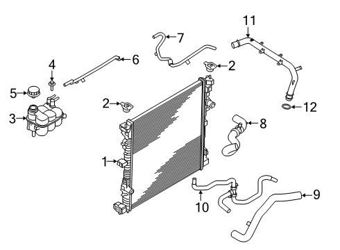 2022 Ford Police Interceptor Utility Radiator & Components Water Hose Diagram for L1MZ-8C289-B