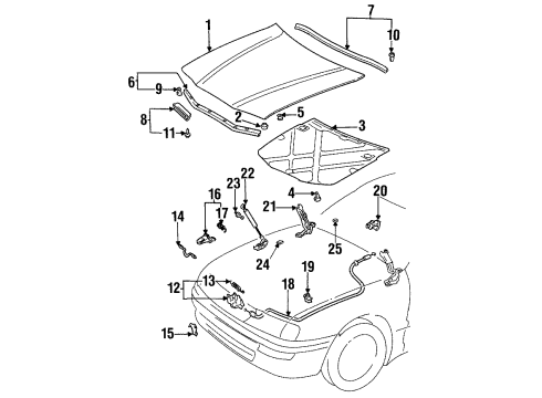 1999 Toyota Avalon Hood & Components Insulator Diagram for 53341-AC010