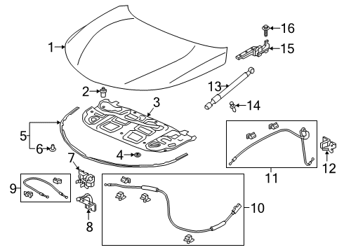 2020 Acura RDX Hood & Components Seal Rubber, Hood Diagram for 74146-TJB-A01