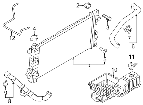 2010 Ford F-150 Radiator & Components Lower Hose Diagram for AL3Z-8286-C