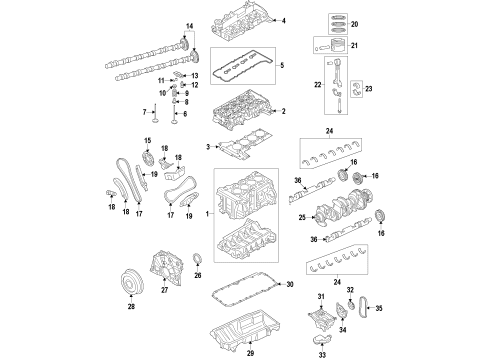 2016 BMW 328d xDrive Engine Parts, Mounts, Cylinder Head & Valves, Camshaft & Timing, Oil Pan, Oil Pump, Balance Shafts, Crankshaft & Bearings, Pistons, Rings & Bearings CAMSHAFT SPROCKET Diagram for 11317797514