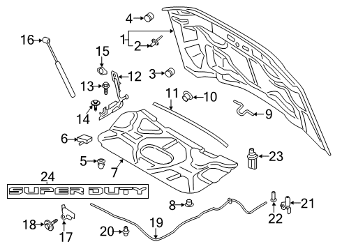 2019 Ford F-350 Super Duty Hood & Components Lift Cylinder Diagram for LC3Z-16C826-A