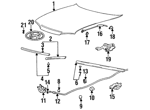 1996 Hyundai Accent Hood & Components Strip Assembly-Hood Seal Front, RH Diagram for 86447-22000