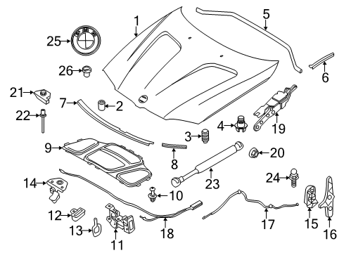 2011 BMW X3 Hood & Components Hood Safety Catch Cable Diagram for 51237218568