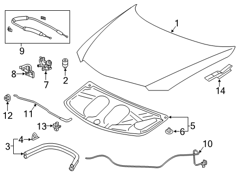 2022 Acura ILX Hood & Components Hinge, Driver Side Hood Diagram for 60170-TX6-A00ZZ