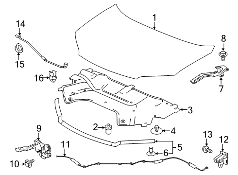 2020 Honda Passport Hood & Components Hinge, Driver Side Hood Diagram for 60170-TG7-A00ZZ