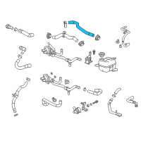 OEM Cadillac CT6 Lower Hose Diagram - 23436684