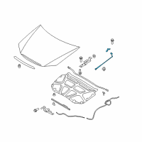 OEM 2005 Kia Spectra5 Rod Assembly-Hood Stay Diagram - 811702F000